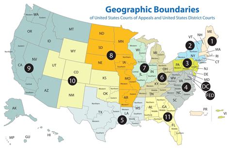 BREAKING: Circuit Courts Have Been Reassigned - Guess Who Is In Charge Of MI, WI, PA, And GA ...