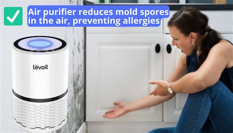 12 Benefits of Air Purifier: Check Why it Best for Clean Air