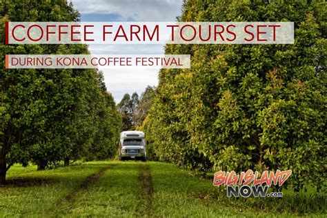 Farm Tours Offered During Kona Coffee Festival : Big Island Now