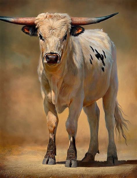 Amazing Photorealistic Paintings by Teresa Elliott | Cow painting, Animal paintings, Cow