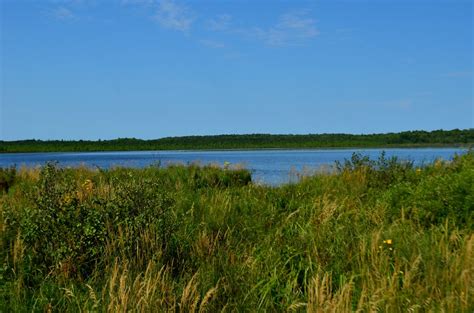 Rice Lake | Rice Lake Wisconsin State Natural Area #40 Oneid… | Flickr