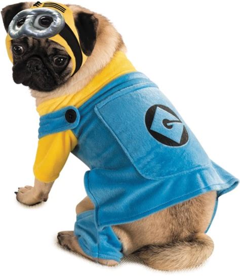 The most popular Halloween costumes for pets, from ‘Star Wars’ to minions