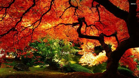 Autumn Landscape Wallpapers - Wallpaper Cave