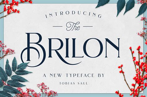 Brilon Font + Extras ~ Display Fonts ~ Creative Market