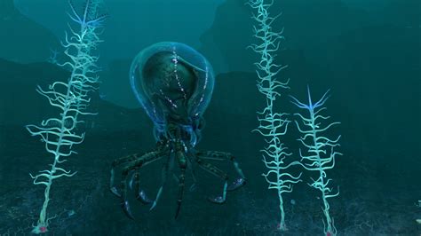 Image - Crabsquid Backside.jpg | Subnautica Wiki | Fandom powered by Wikia