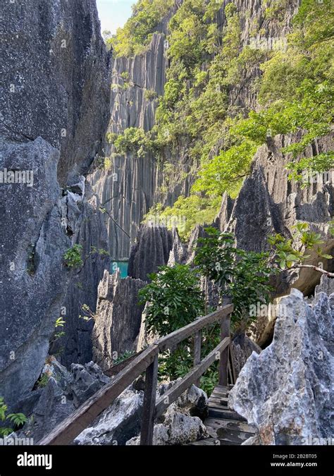 Barracuda lake in Coron, Palawan, Philippines Stock Photo - Alamy