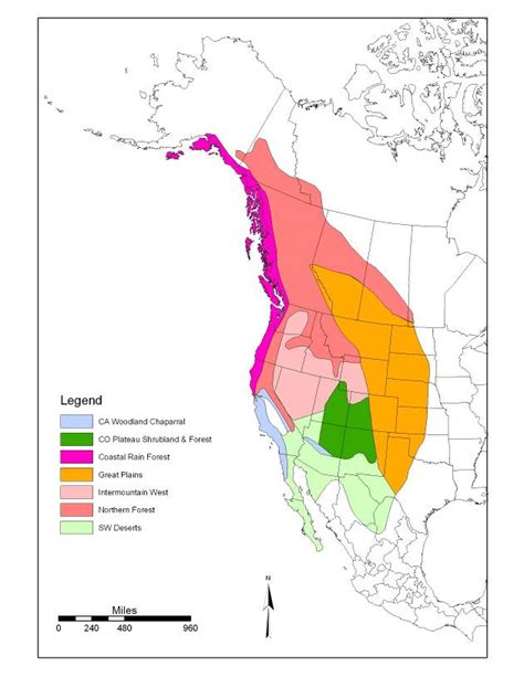 Curious About ... Western U.S. Migrating Mule Deer? - Wenatchee Naturalist