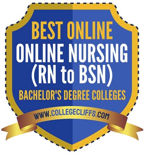 The 13 Best Online Nursing (RN to BSN) Bachelor's Degree Colleges ...