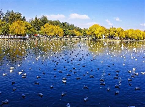 Green Lake Park Kunming, Kunming Attraction