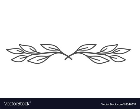 Floral divider Royalty Free Vector Image - VectorStock