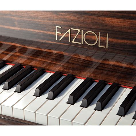 Fazioli Ebony Grand – Telegraph