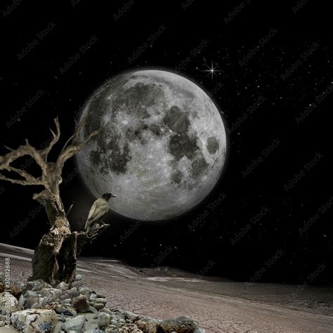 .moon vision- mystic background for your desktop Stock Photo | Adobe Stock