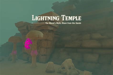 Lightning Temple walkthrough in Zelda: Tears of the Kingdom - Polygon