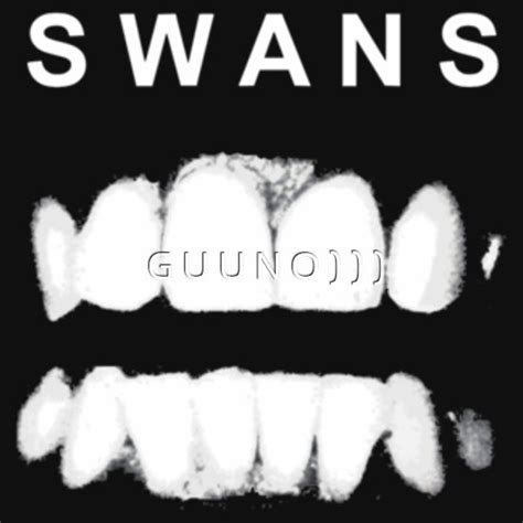 Swans Band: Gifts & Merchandise | Redbubble