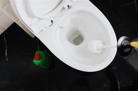 Got a Toilet Leaking Water? Here’s What You Can Do to Fix It