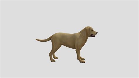 dog - Download Free 3D model by neighbor (@kylekip) [e395f26] - Sketchfab