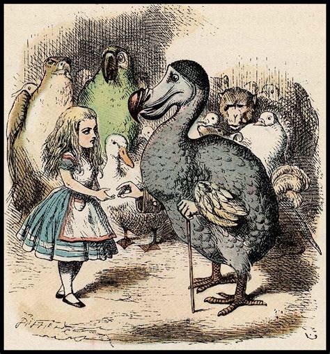 Alice In Wonderland #illustration Alice with the DoDo Bird | Alice in wonderland illustrations ...