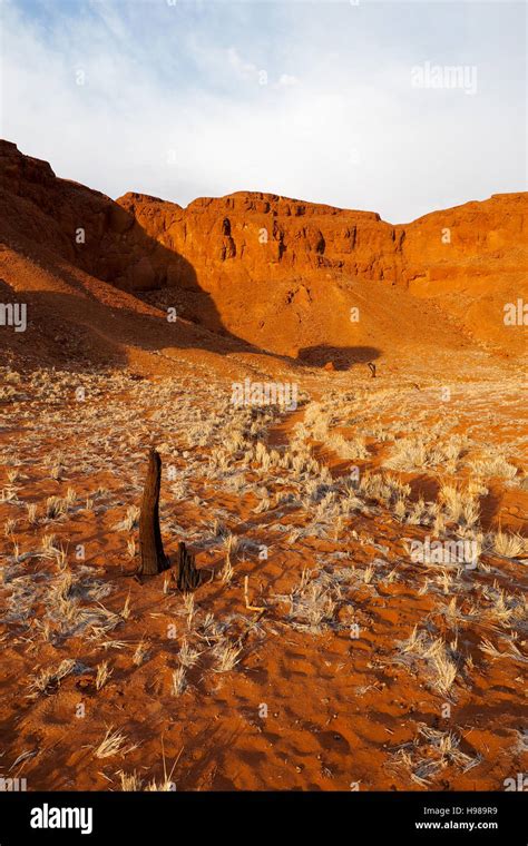 Namib desert landscape, Namibia Stock Photo - Alamy