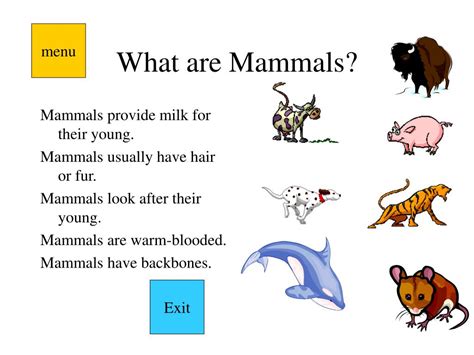 PPT - Mammal Groups by Dave Allen PowerPoint Presentation, free ...