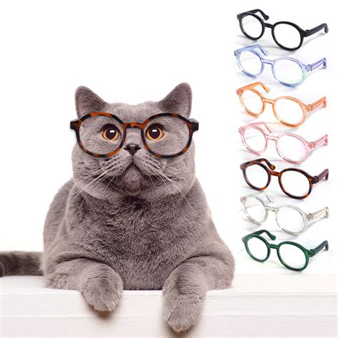 Plastic Transparent Cat Glasses - CJdropshipping