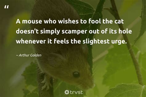 20 Mouse Quotes Full Of Little Lessons In Life