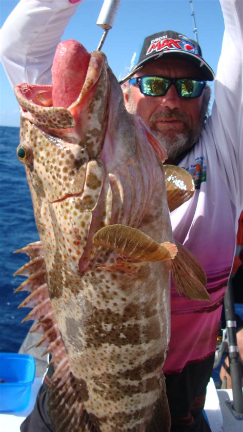 Catches — Rainbow Beach Fishing Charters