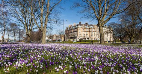 16 Best Hotels in Harrogate. Hotel Deals from £26/night - KAYAK