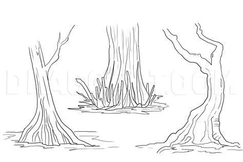 How To Draw A Swamp, Draw Swamps, Step by Step, Drawing Guide, by Papaya_Pig | dragoart.com ...