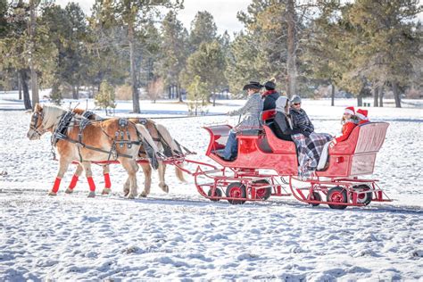 Take a Real Horse-Drawn Sleigh Ride Though Oregon's Winter Wonderland