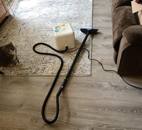 15 Best Steam Mops For Deep Cleaning In 2024