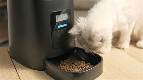 PETLIBRO Easy Feed 6L Automatic Pet Feeder | User Manual - YouTube