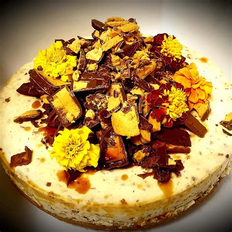 Honeycomb Cheesecake | Farmer and Sun