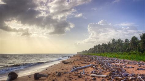 Ever Wondered Why It Is Called Shell Beach? - Things Guyana