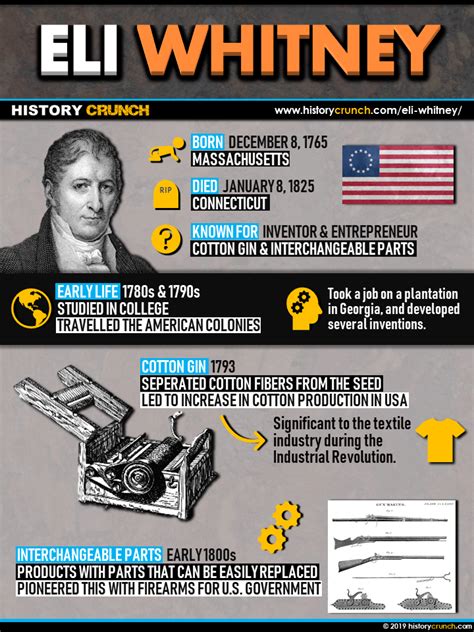 Cotton Gin Invention in the Industrial Revolution - HISTORY CRUNCH ...