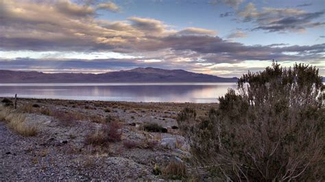 Walker Lake Gallery — Walker Basin Conservancy