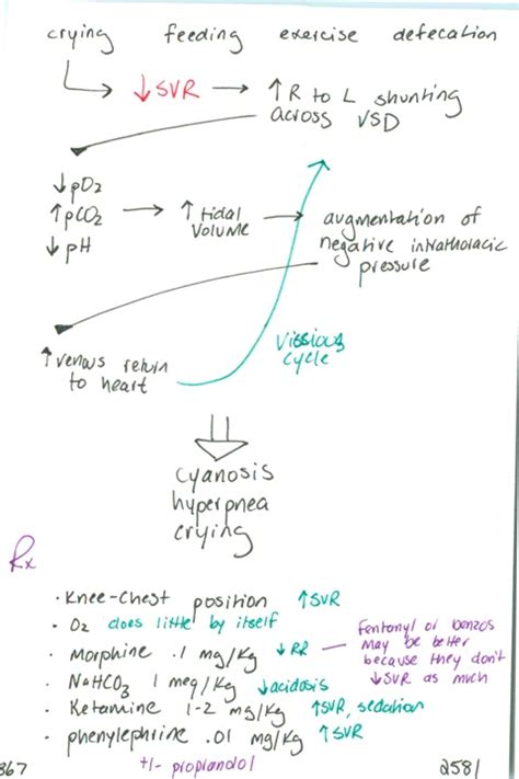 867. Tet spells: triggers, pathophys, s/sx, Rx – emupdates