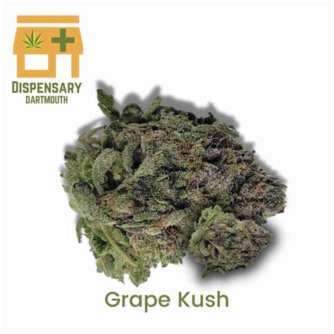 Grape Kush – Dartmouth Dispensary