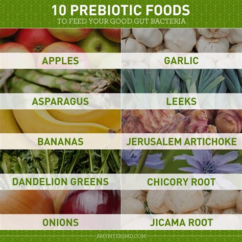 10 Prebiotic Foods For A Healthy Gut | Prebiotic foods, Good gut bacteria, Prebiotics