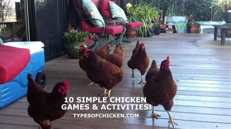 Types of Chicken Games