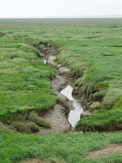 Tidal Creek © Matthew Chadwick cc-by-sa/2.0 :: Geograph Britain and Ireland