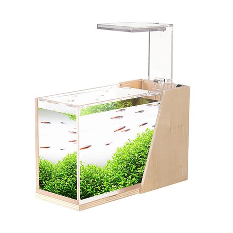 Desktop Aquarium Filter | Acrylic Aquarium Tank | Small Fish Aquarium - Office Desktop - Aliexpress