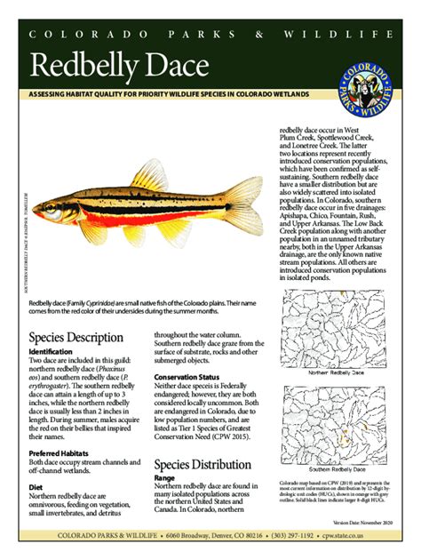 Fillable Online Redbelly Dace Habitat Scorecard. Assessing habitat ...