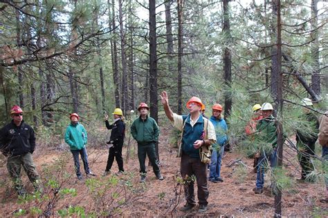 Ramping Up Forest Restoration