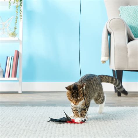 Pet Fit For Life 3 Piece Retractable Feather Wand Cat Toy - Chewy.com