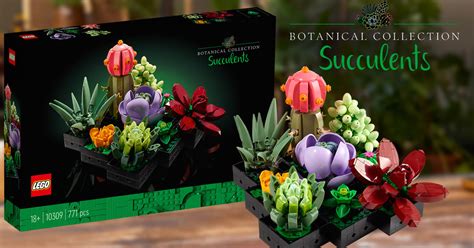 Brickfinder - LEGO Botanical Collection Succulents 10309 Official Announcement!