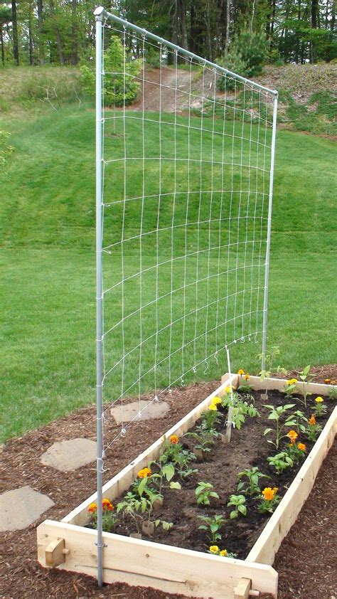 How to Build a Simple Trellis for a Tomato and Vegetable Garden | Vertical vegetable gardens ...