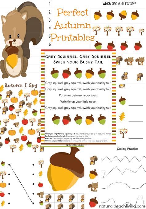 The Best Squirrel Activities for Preschool & Kindergarten