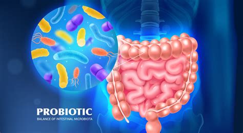 Power of probiotics on gut and overall wellness