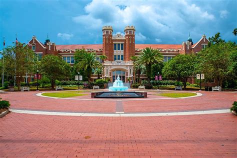 HD wallpaper: fsu, seminoles, florida, university, sun, sunshine ...