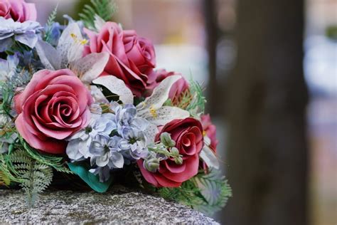 7 Popular Sympathy Flowers and Their Meanings - Funeral Basics